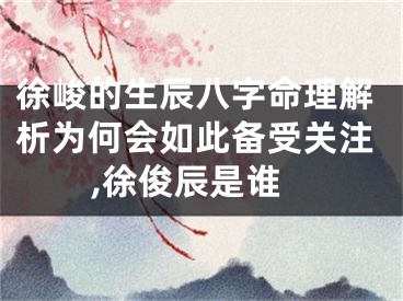 徐峻的生辰八字命理解析为何会如此备受关注,徐俊辰是谁