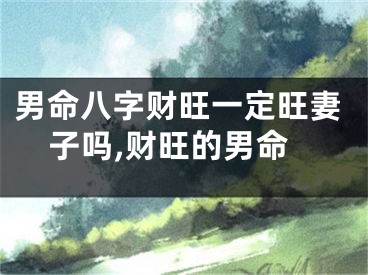 男命八字财旺一定旺妻子吗,财旺的男命
