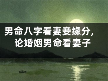 男命八字看妻妾缘分,论婚姻男命看妻子