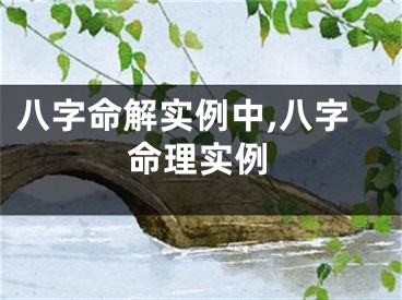 八字命解实例中,八字命理实例