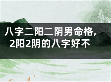 八字二阳二阴男命格,2阳2阴的八字好不