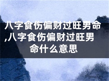 八字食伤偏财过旺男命,八字食伤偏财过旺男命什么意思