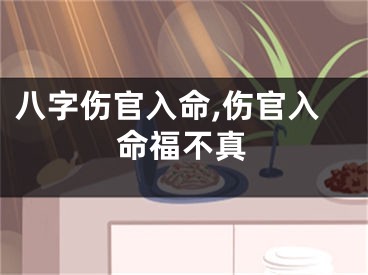 八字伤官入命,伤官入命福不真