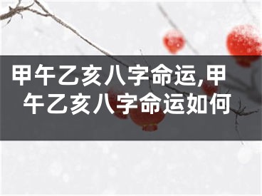 甲午乙亥八字命运,甲午乙亥八字命运如何
