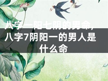 八字一阳七阴的男命,八字7阴阳一的男人是什么命