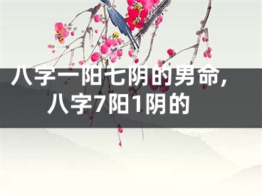 八字一阳七阴的男命,八字7阳1阴的