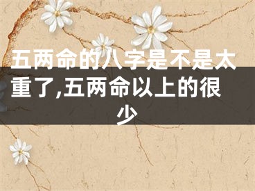 五两命的八字是不是太重了,五两命以上的很少