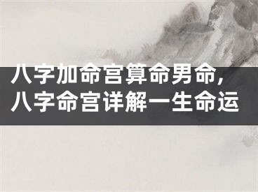 八字加命宫算命男命,八字命宫详解一生命运
