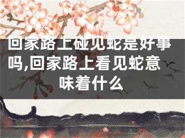 回家路上碰见蛇是好事吗,回家路上看见蛇意味着什么