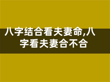 八字结合看夫妻命,八字看夫妻合不合