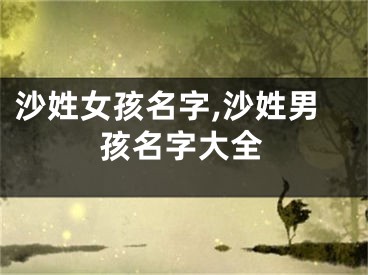沙姓女孩名字,沙姓男孩名字大全