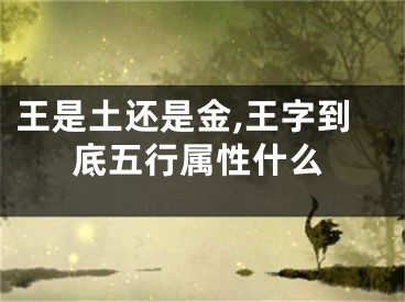 王是土还是金,王字到底五行属性什么