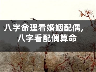 八字命理看婚姻配偶,八字看配偶算命