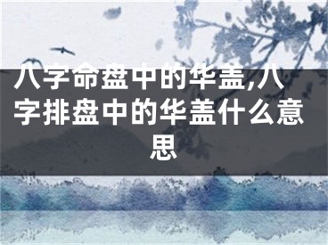 八字命盘中的华盖,八字排盘中的华盖什么意思