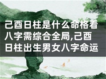 己酉日柱是什么命格看八字需综合全局,己酉日柱出生男女八字命运
