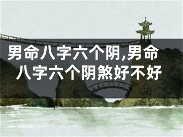 男命八字六个阴,男命八字六个阴煞好不好