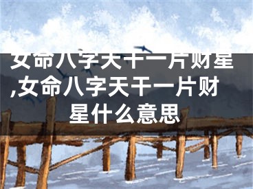 女命八字天干一片财星,女命八字天干一片财星什么意思