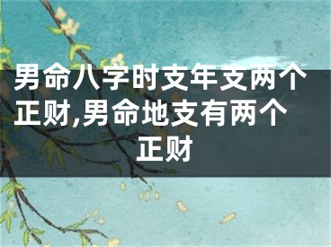 男命八字时支年支两个正财,男命地支有两个正财