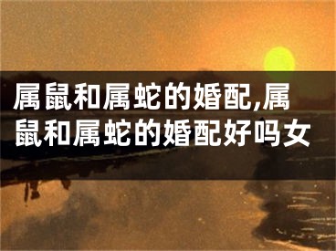 属鼠和属蛇的婚配,属鼠和属蛇的婚配好吗女