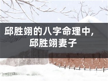 邱胜翊的八字命理中,邱胜翊妻子