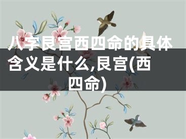八字艮宫西四命的具体含义是什么,艮宫(西四命)