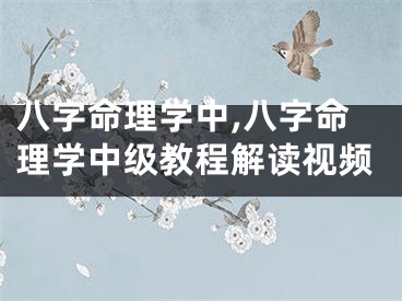 八字命理学中,八字命理学中级教程解读视频