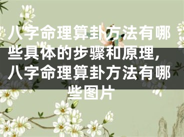 八字命理算卦方法有哪些具体的步骤和原理,八字命理算卦方法有哪些图片