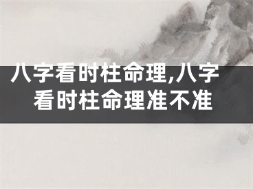八字看时柱命理,八字看时柱命理准不准