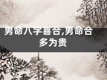 男命八字喜合,男命合多为贵