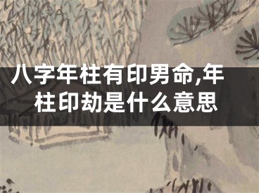 八字年柱有印男命,年柱印劫是什么意思