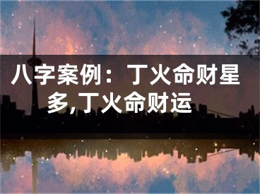 八字案例：丁火命财星多,丁火命财运
