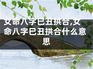 女命八字巳丑拱合,女命八字巳丑拱合什么意思