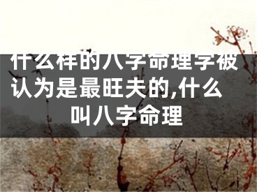 什么样的八字命理学被认为是最旺夫的,什么叫八字命理