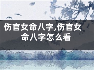 伤官女命八字,伤官女命八字怎么看