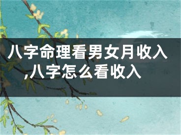八字命理看男女月收入,八字怎么看收入