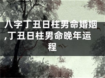 八字丁丑日柱男命婚姻,丁丑日柱男命晚年运程