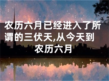 农历六月已经进入了所谓的三伏天,从今天到农历六月