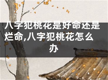 八字犯桃花是好命还是烂命,八字犯桃花怎么办