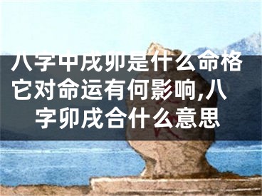 八字中戌卯是什么命格它对命运有何影响,八字卯戌合什么意思