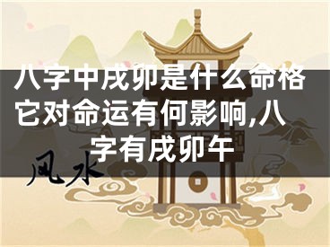 八字中戌卯是什么命格它对命运有何影响,八字有戌卯午