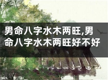 男命八字水木两旺,男命八字水木两旺好不好