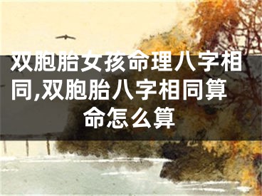 双胞胎女孩命理八字相同,双胞胎八字相同算命怎么算