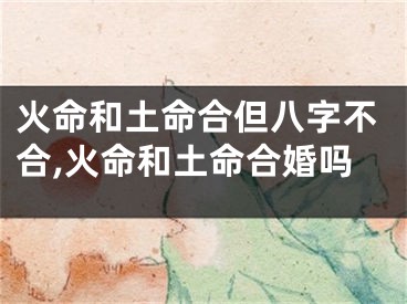 火命和土命合但八字不合,火命和土命合婚吗