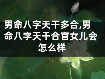男命八字天干多合,男命八字天干合官女儿会怎么样