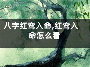 八字红鸾入命,红鸾入命怎么看