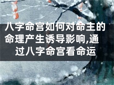 八字命宫如何对命主的命理产生诱导影响,通过八字命宫看命运