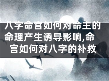 八字命宫如何对命主的命理产生诱导影响,命宫如何对八字的补救