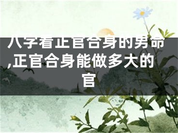 八字看正官合身的男命,正官合身能做多大的官