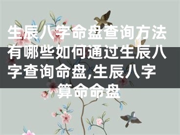 生辰八字命盘查询方法有哪些如何通过生辰八字查询命盘,生辰八字算命命盘