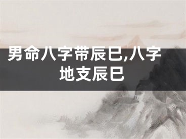 男命八字带辰巳,八字地支辰巳